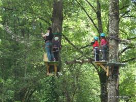 Rencontres sportives - Accrobranche.jpg