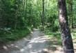 Le chemin de Saint Jacques  - chemin_SaintJacques_Conques.JPG